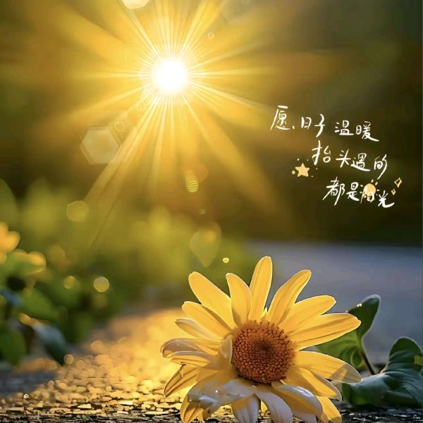 ღ᭄💞微笑ོএ: 向钱💞