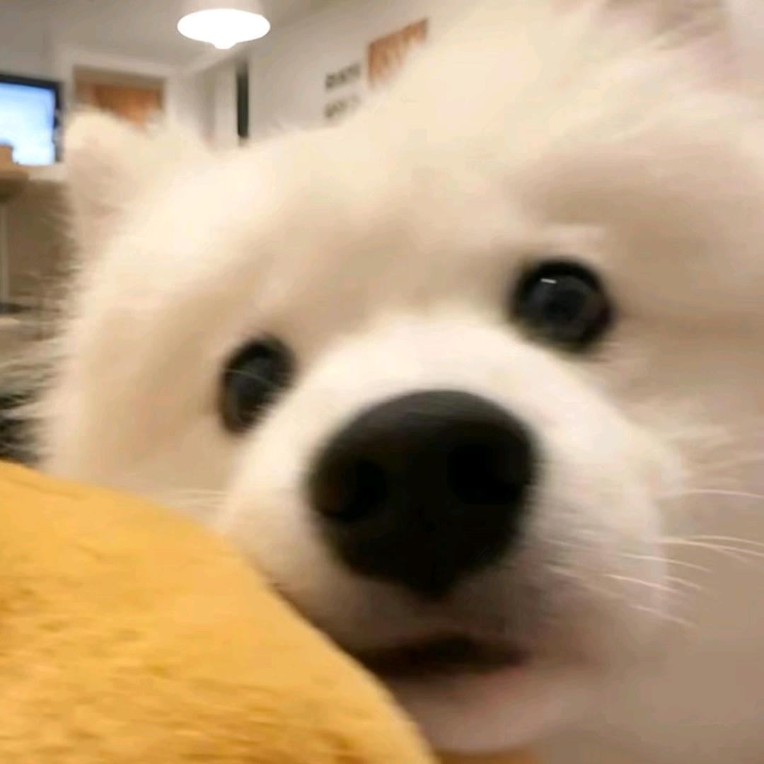 远方的少年
