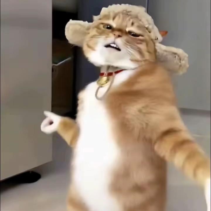 咕噜噜o○