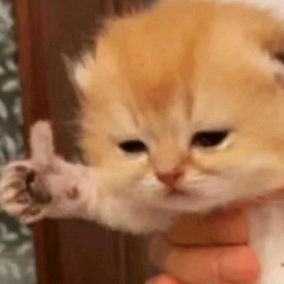R....