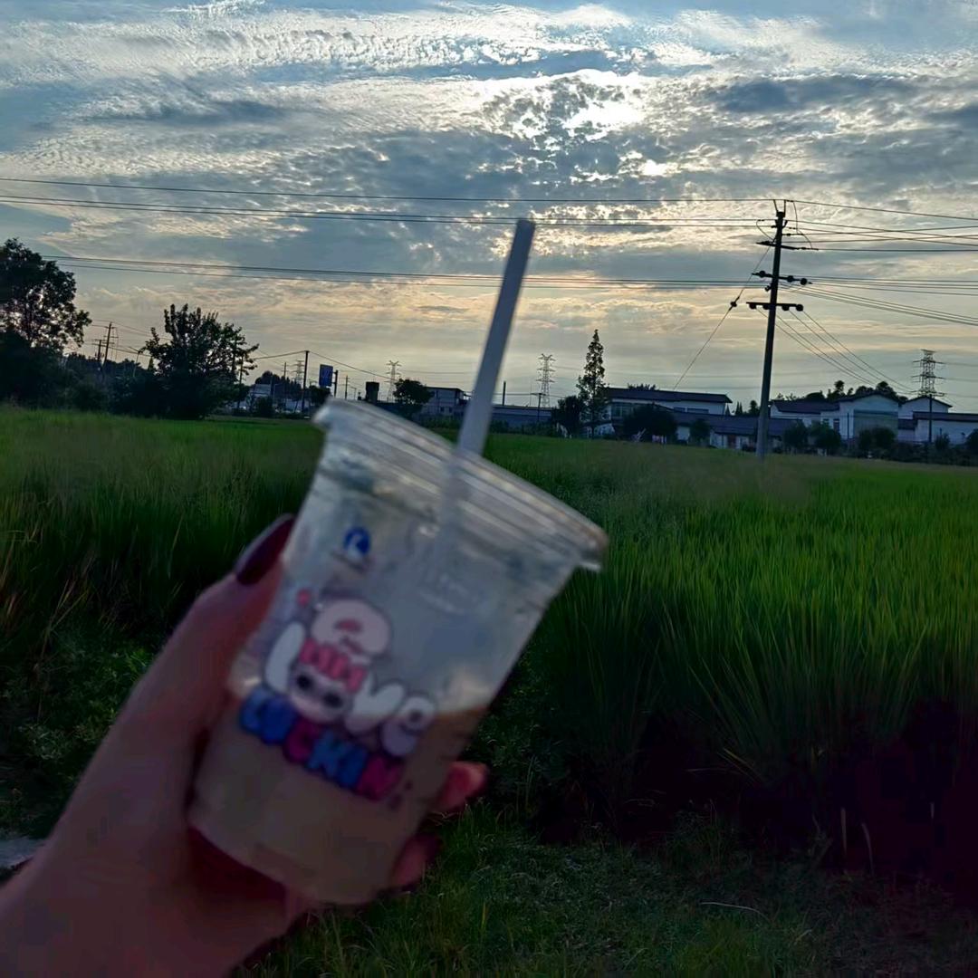 阿里嘎多美羊羊