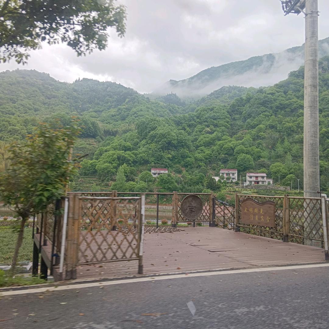 陈利华