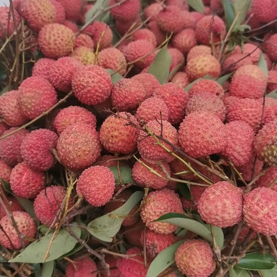 荔枝代办.代收.代发货