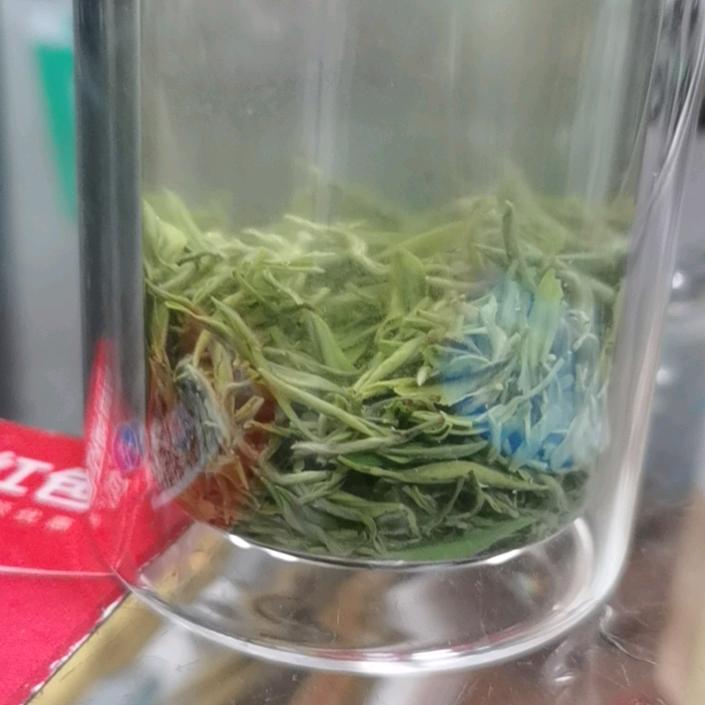 欧嘉