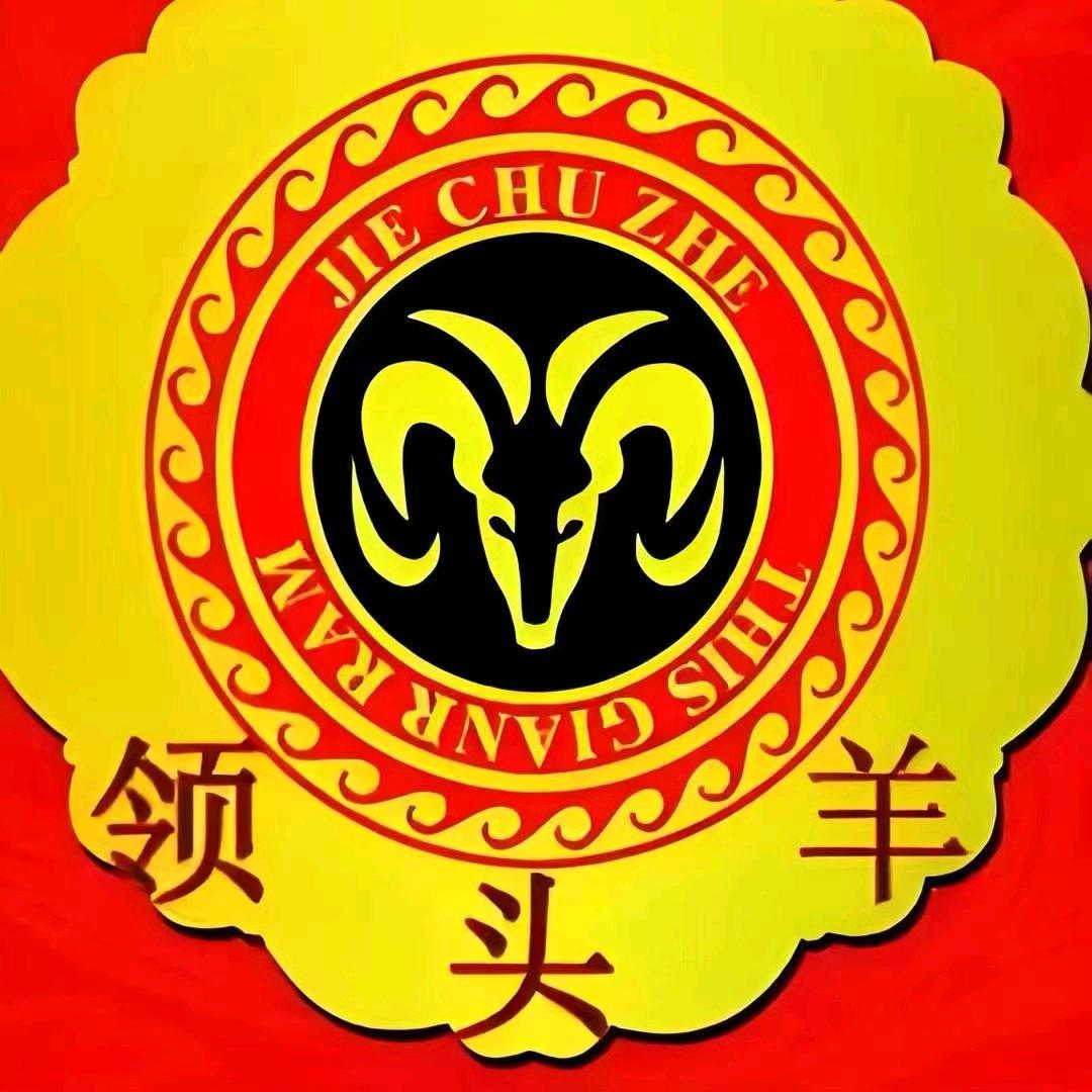 领头羊百货