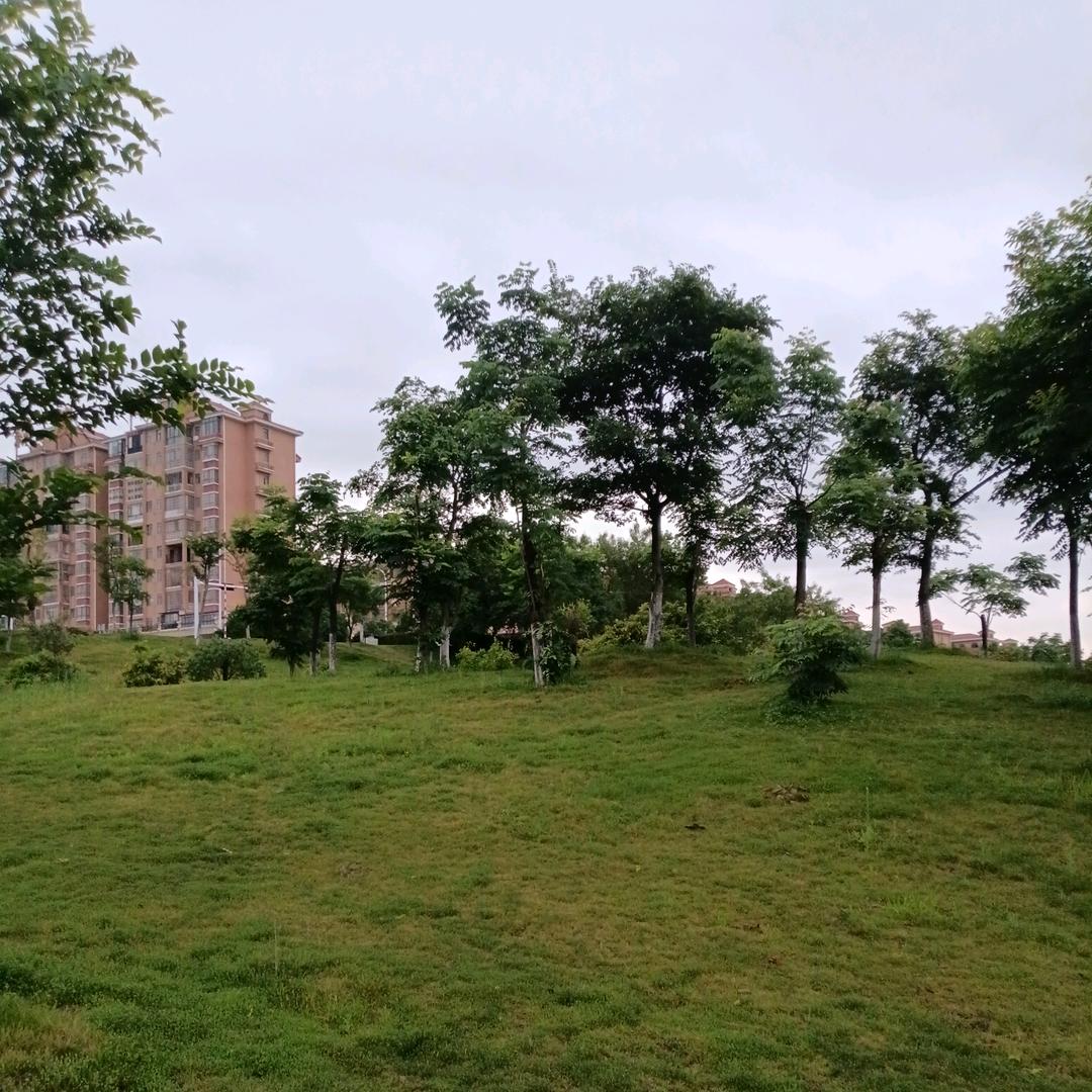 🇨🇳顺颂时宜