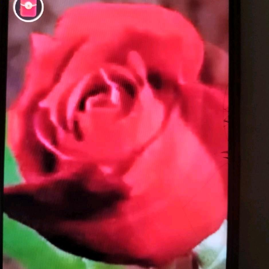 好人一生平安，