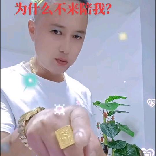 龙啸山庄