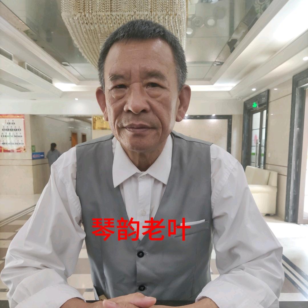 琴韵老叶