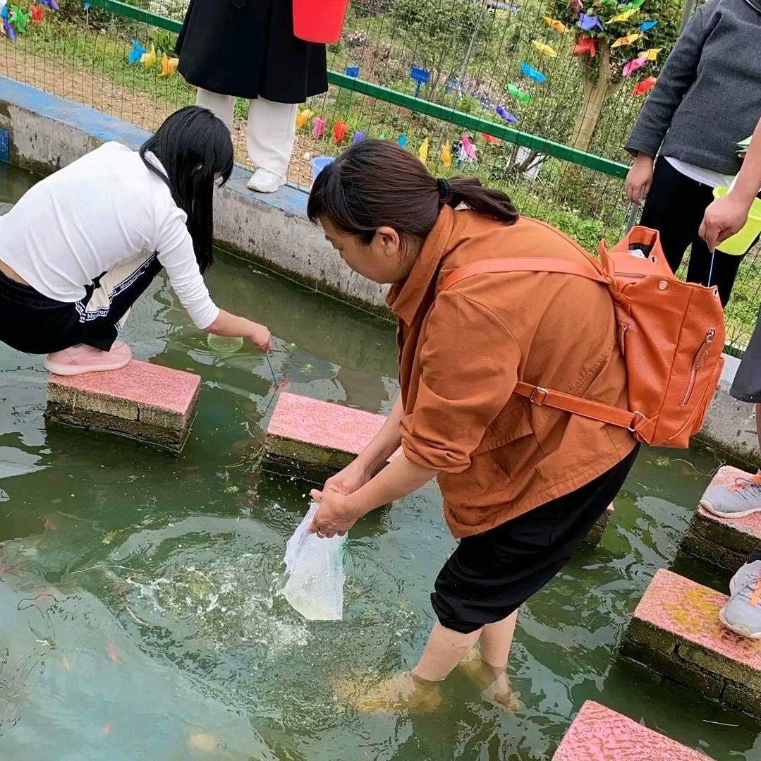 芝丫头