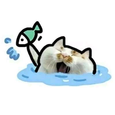 小马醒醒