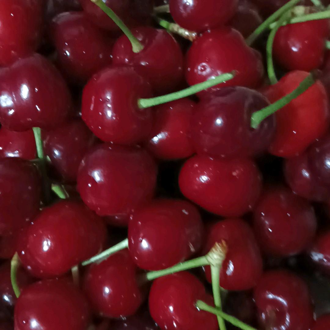 🚬🧬盛大气✨  ︵ (