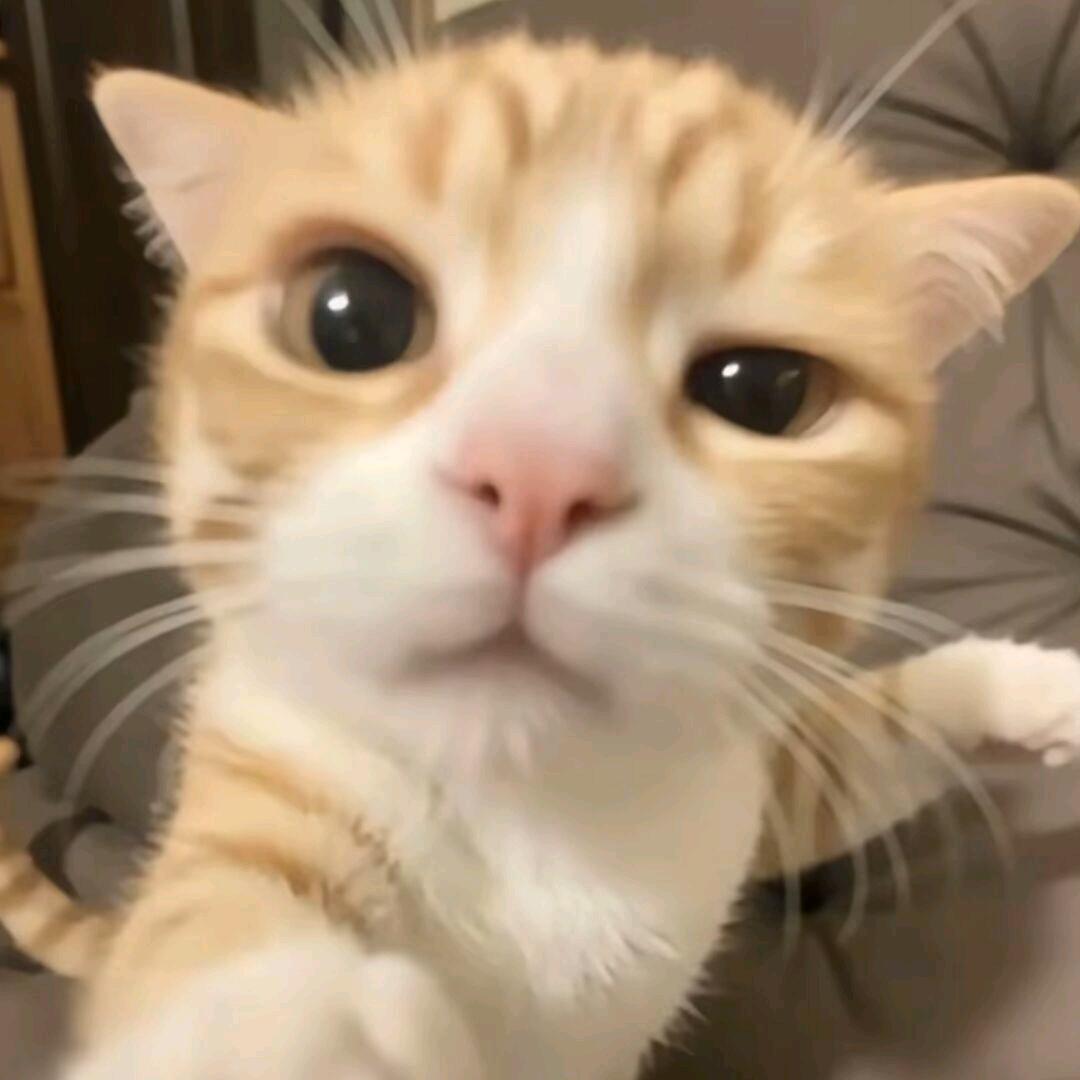 🌈我真的会笑了