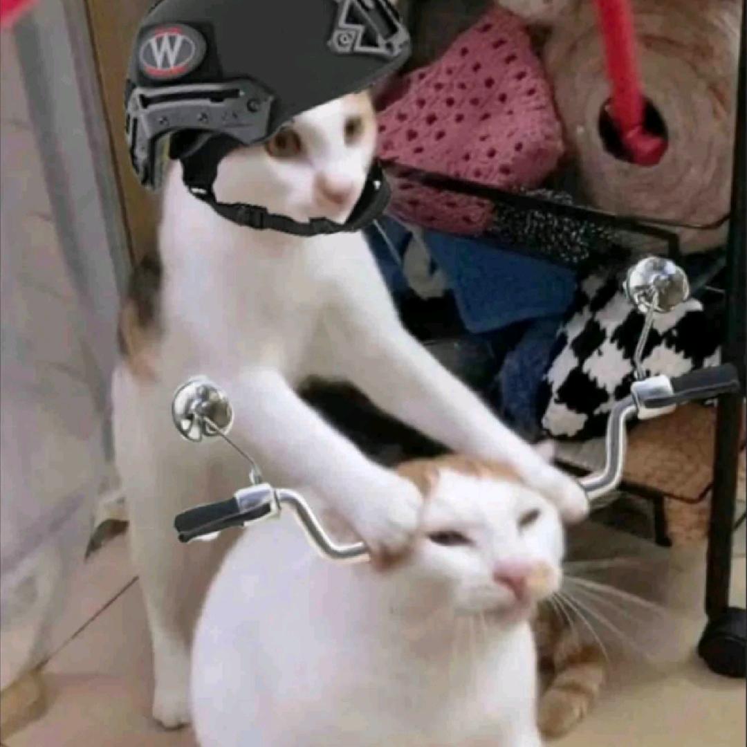 哎呀