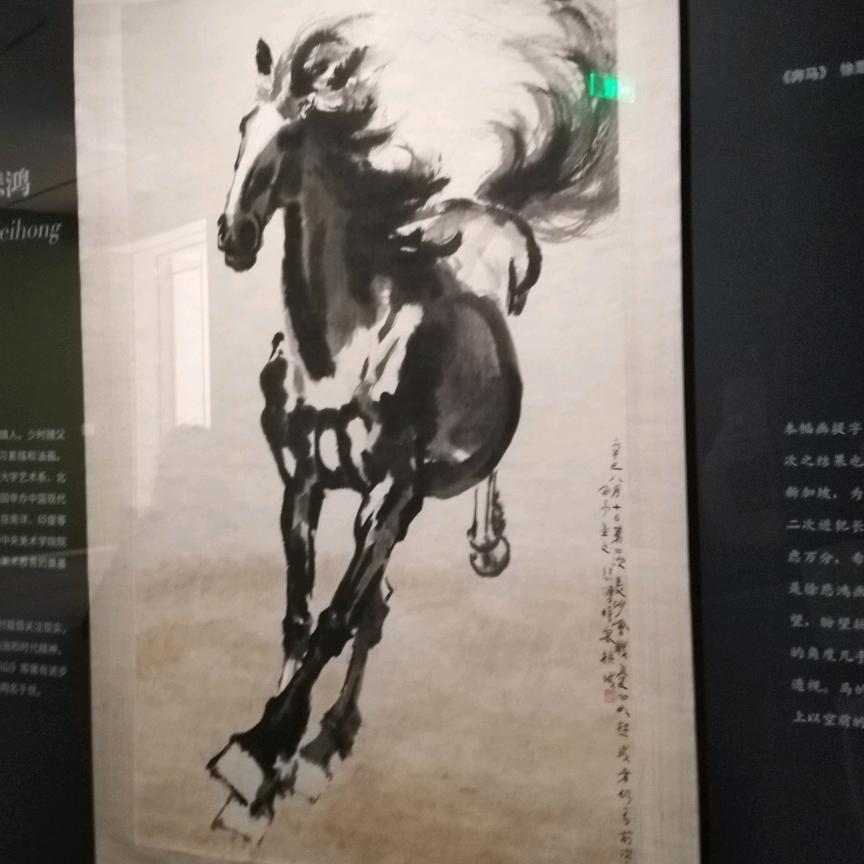 _@抖尼尔🔥🔥🔥