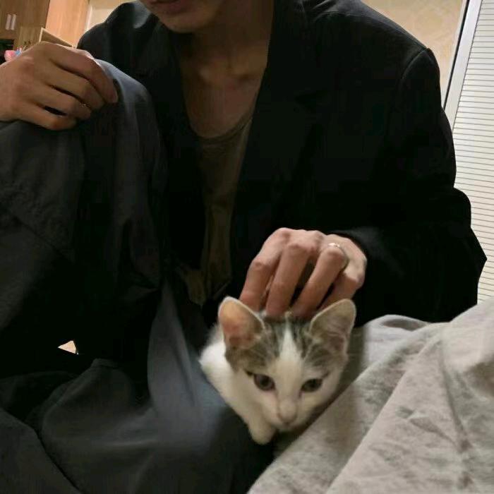 🐬 不会打球 🎱