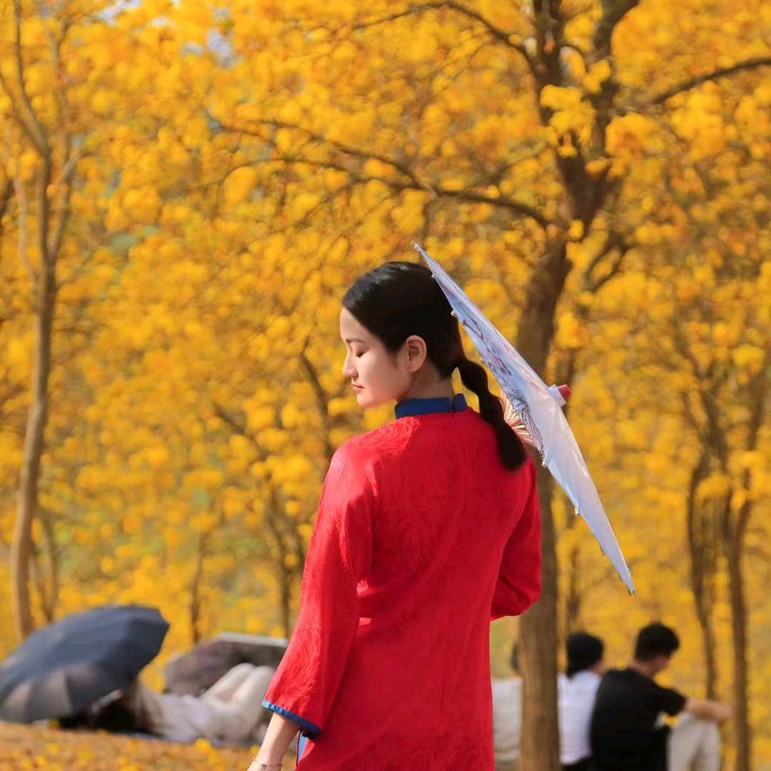 杨越中🇻🇳🇨🇳