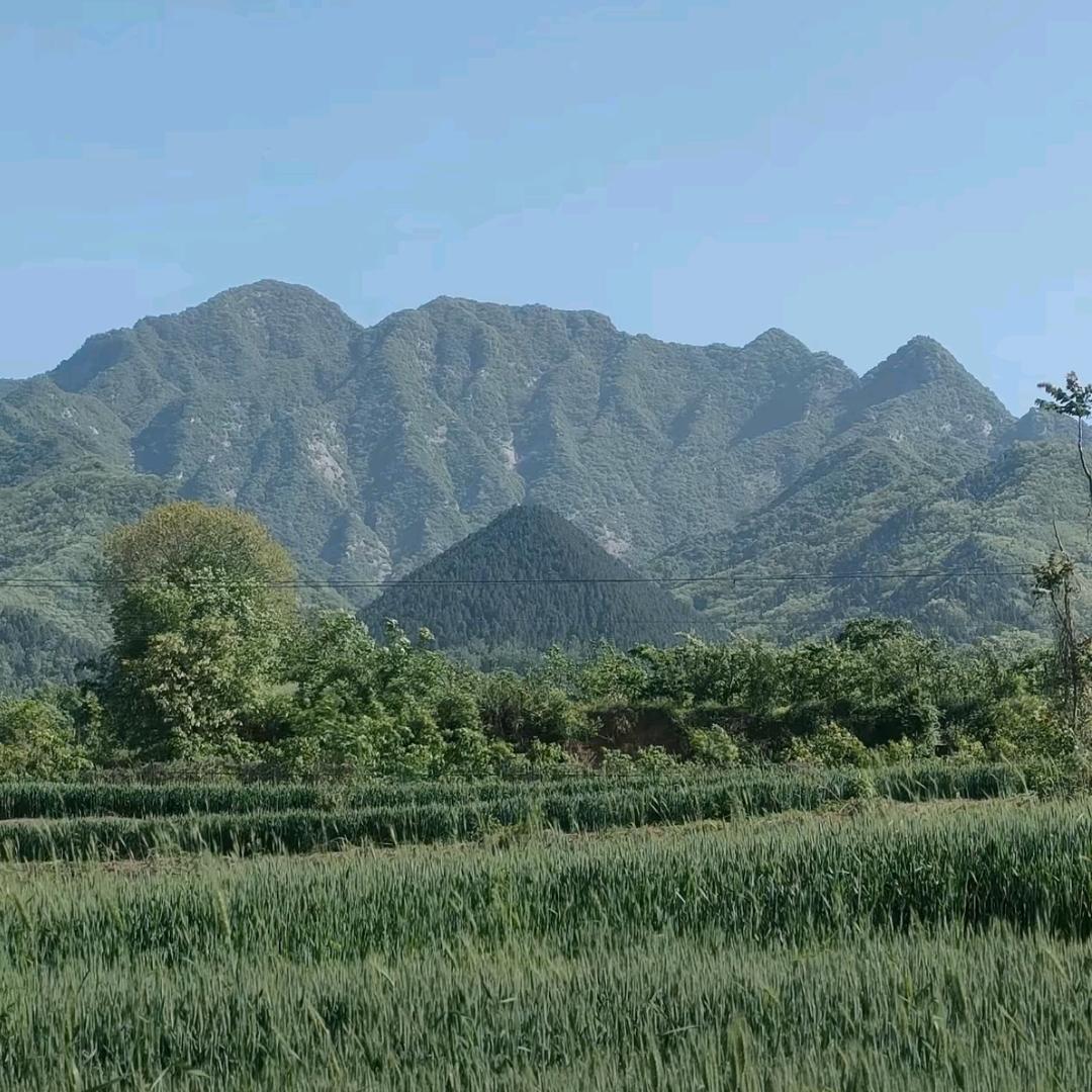 古法形峦 陈先生