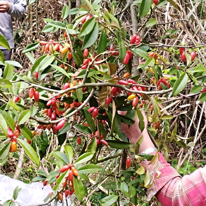 风雨飘摇在人间