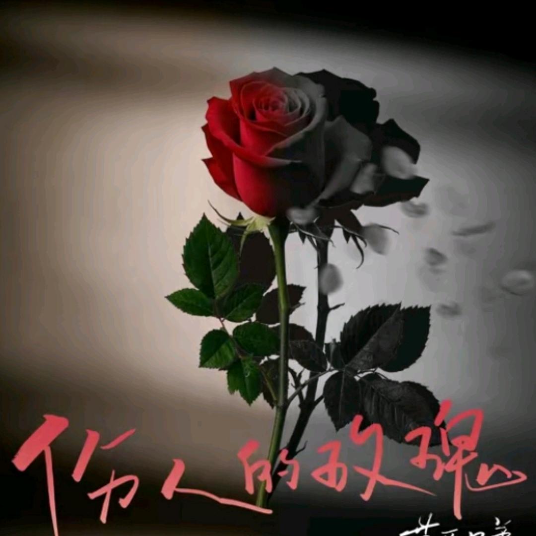 伤人的玫瑰