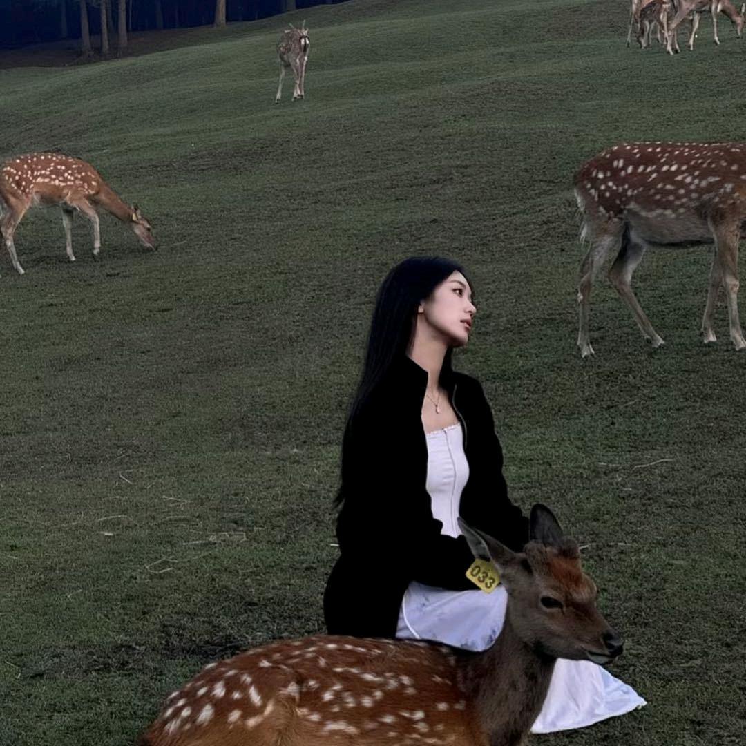 自由～