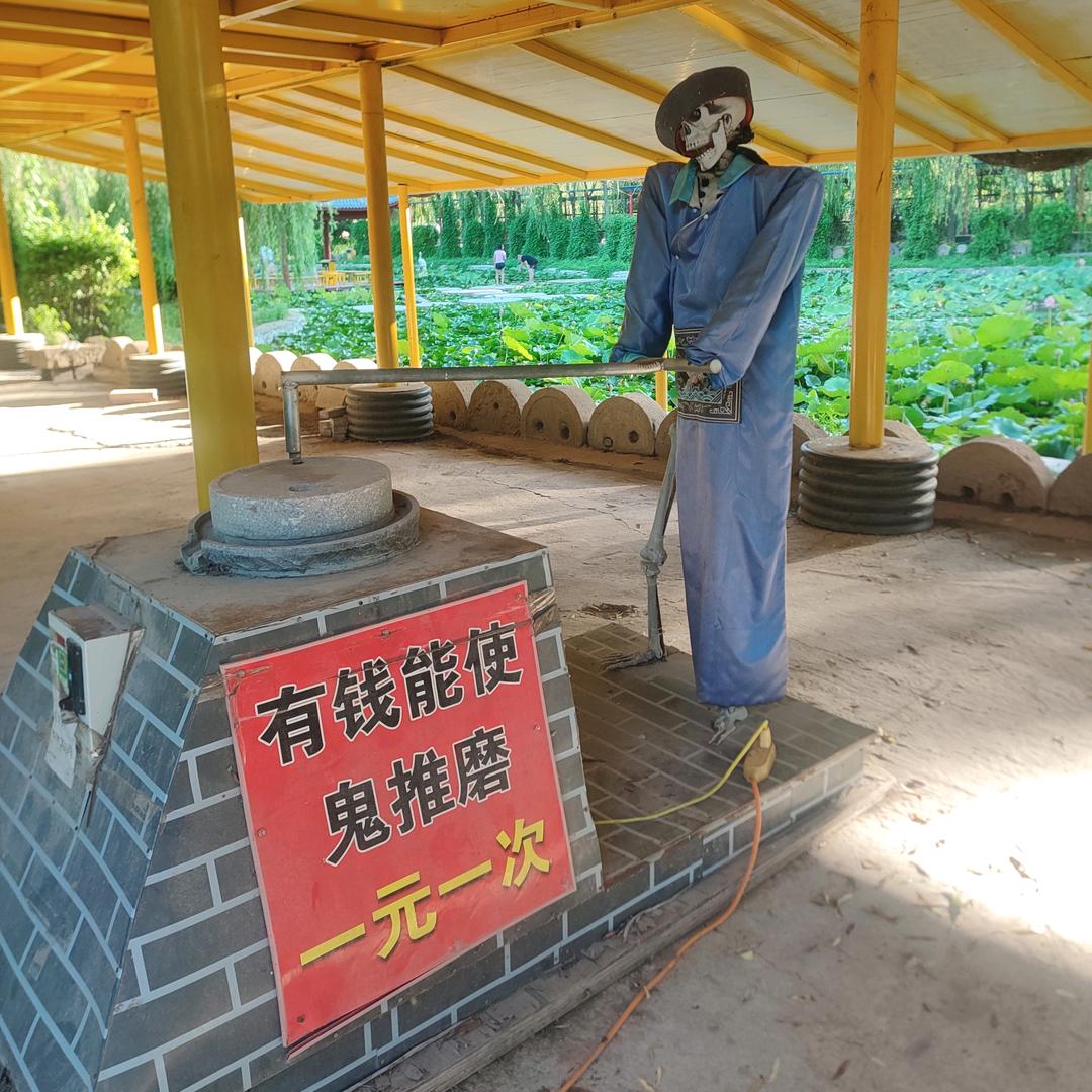 喜阳阳是刘忙