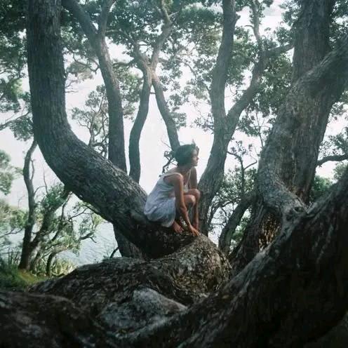 风也不总是温柔拂过