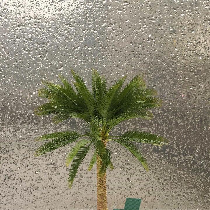 知识的搬运工