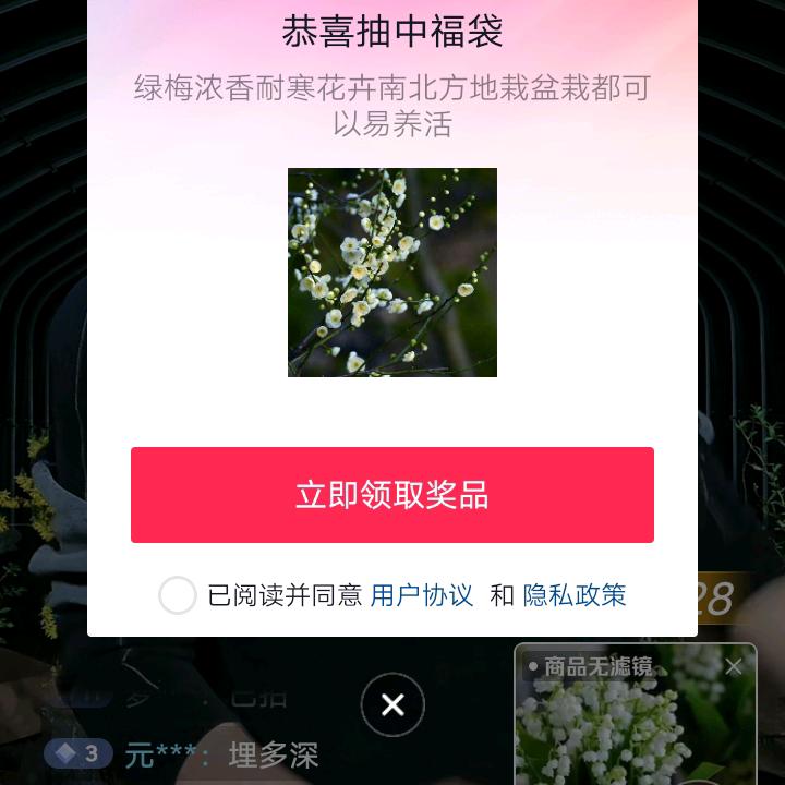 金爪心塞（第五家族）