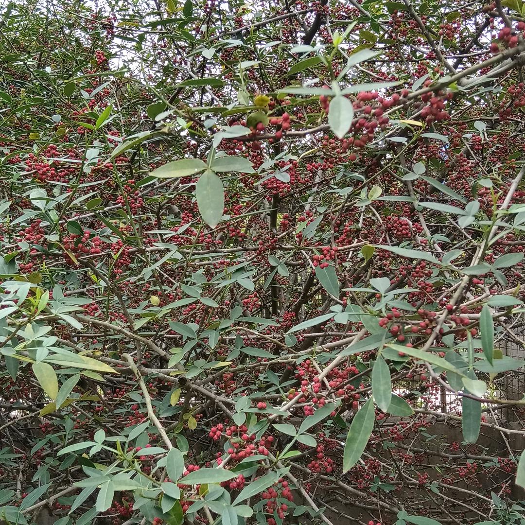 不忘初心，窂记使命！