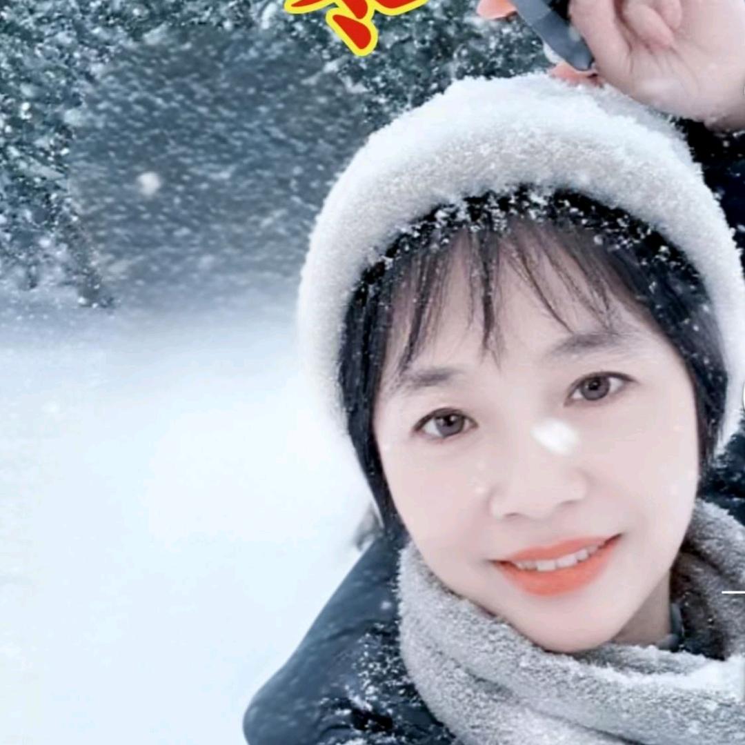 寓意翔宝