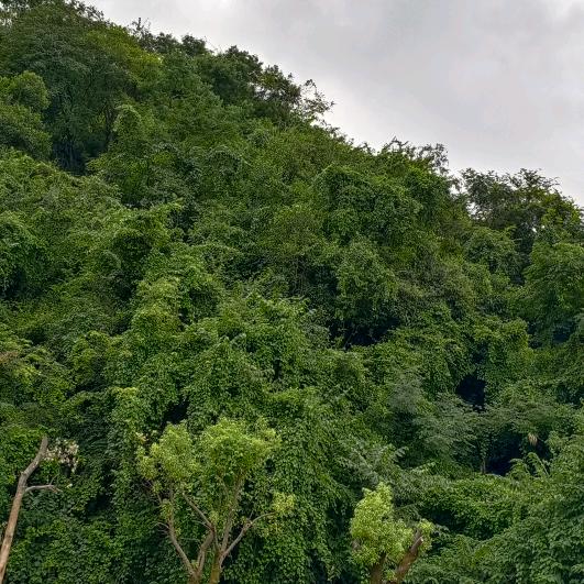 一个人的风景