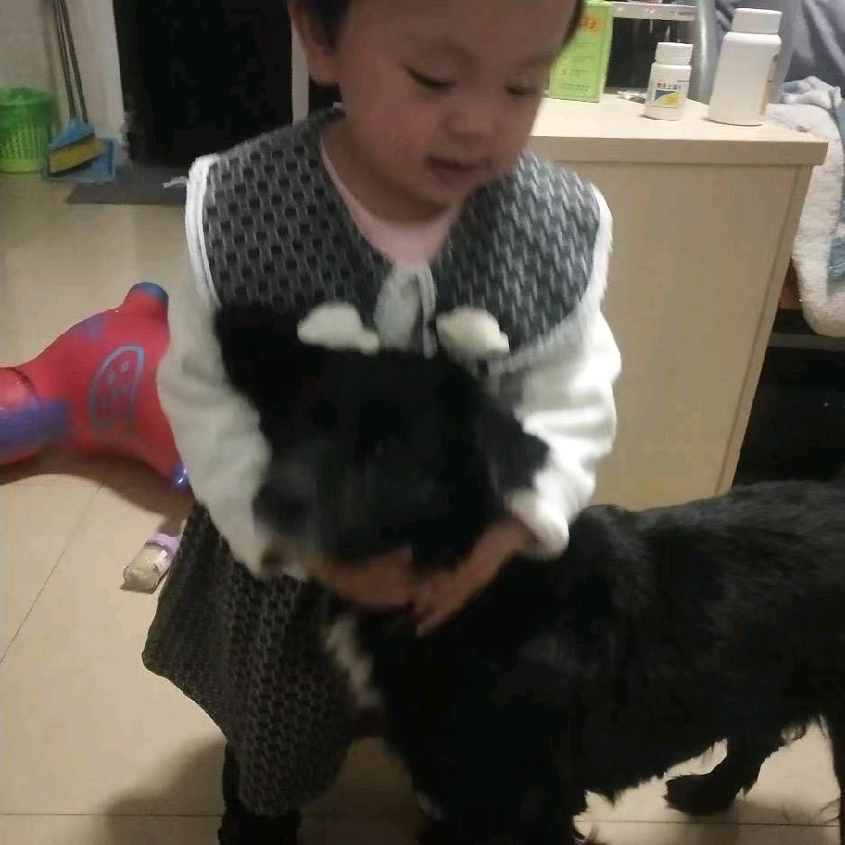 三角洲纯绿跑刀