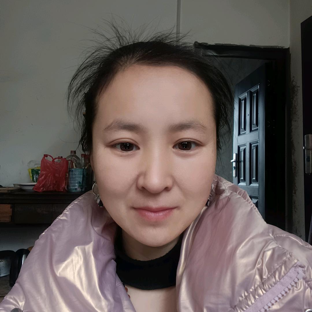 银色的燕子