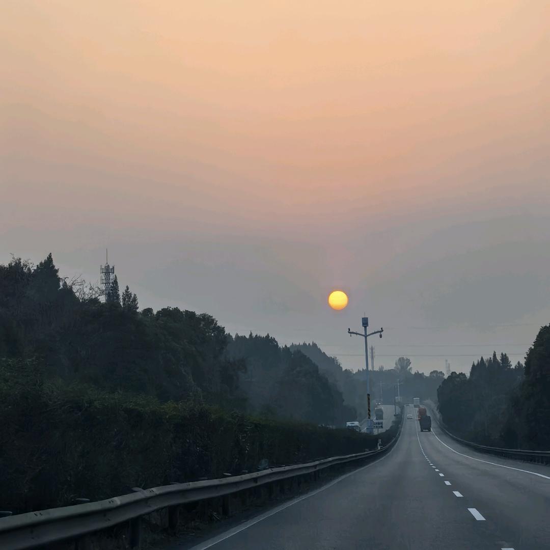 小曼鱼