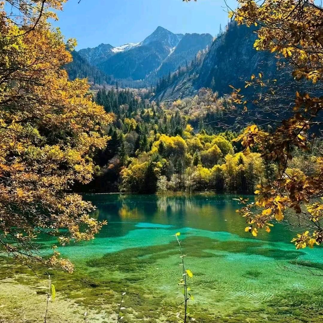 中国国旅（九寨专场）