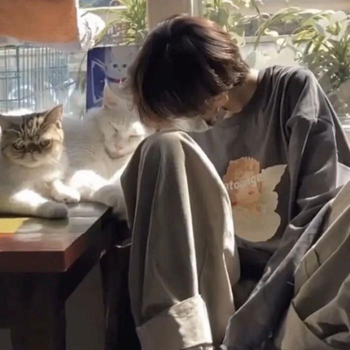 杺