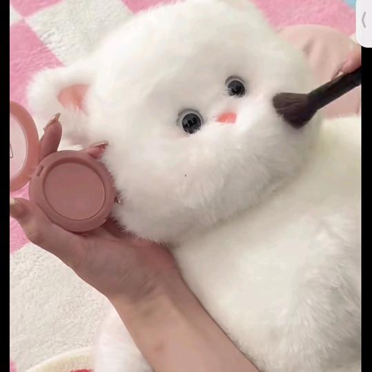 鱼