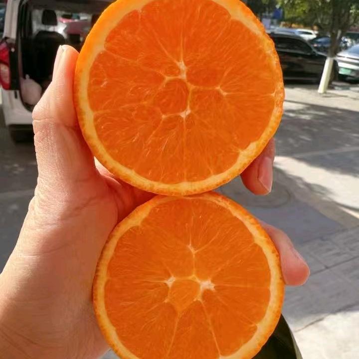 乐山养老生活，在关注生意