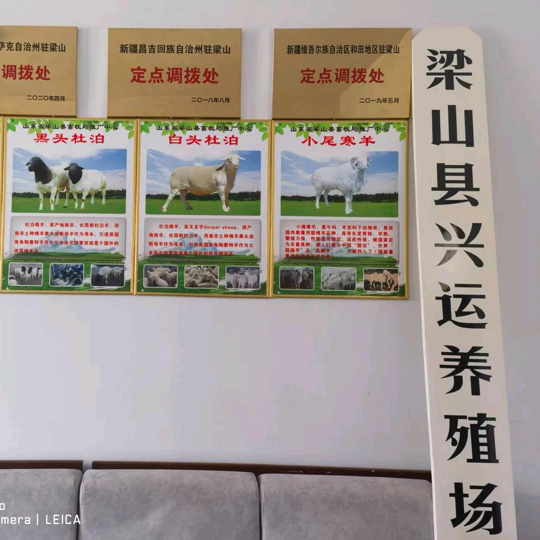 梁山县兴运牧业