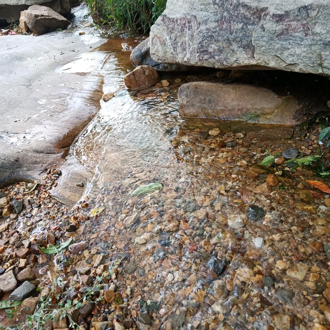 老师小助理