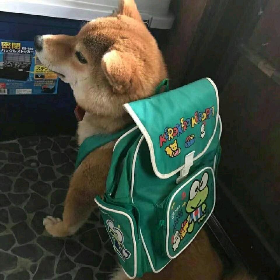苏卿辞