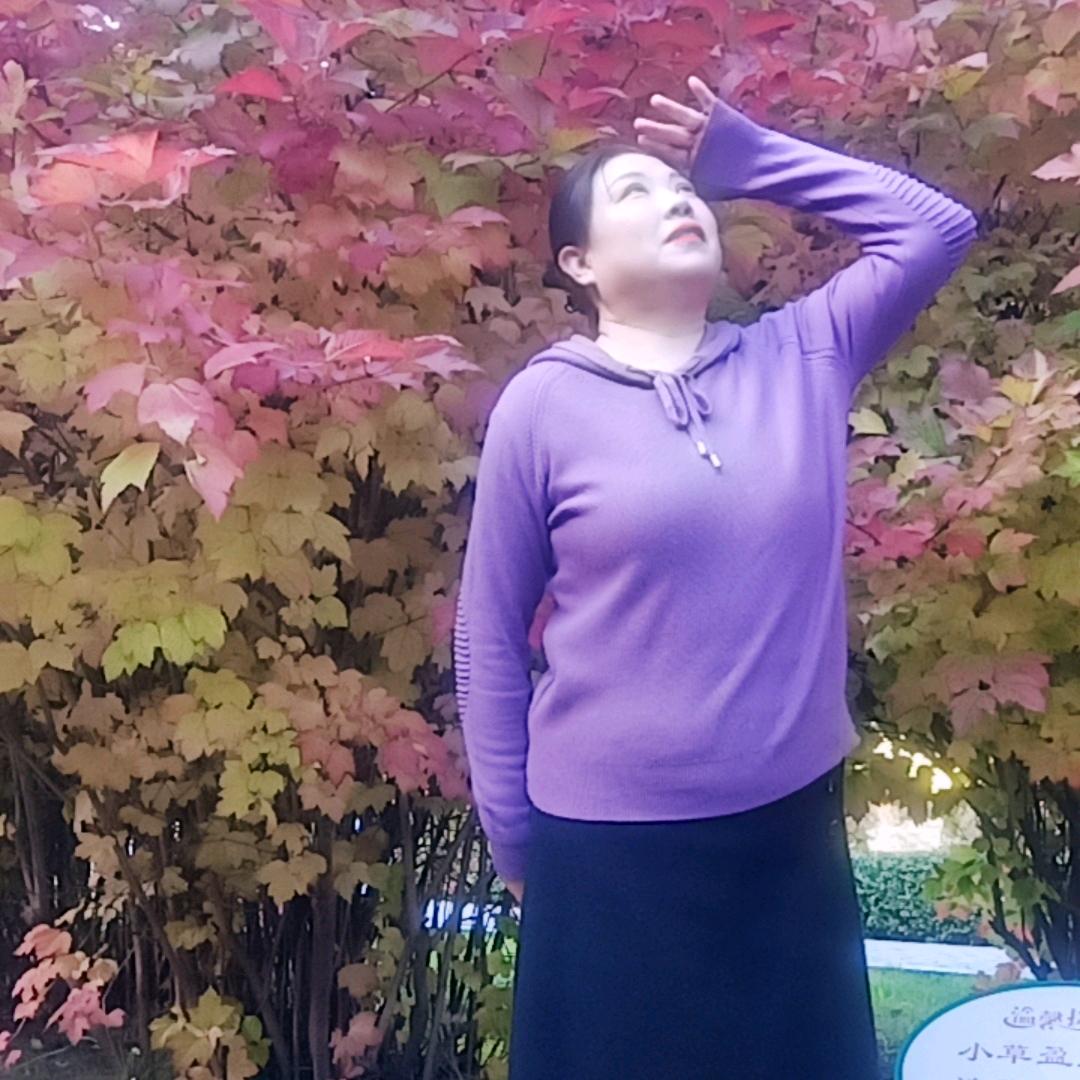 风清