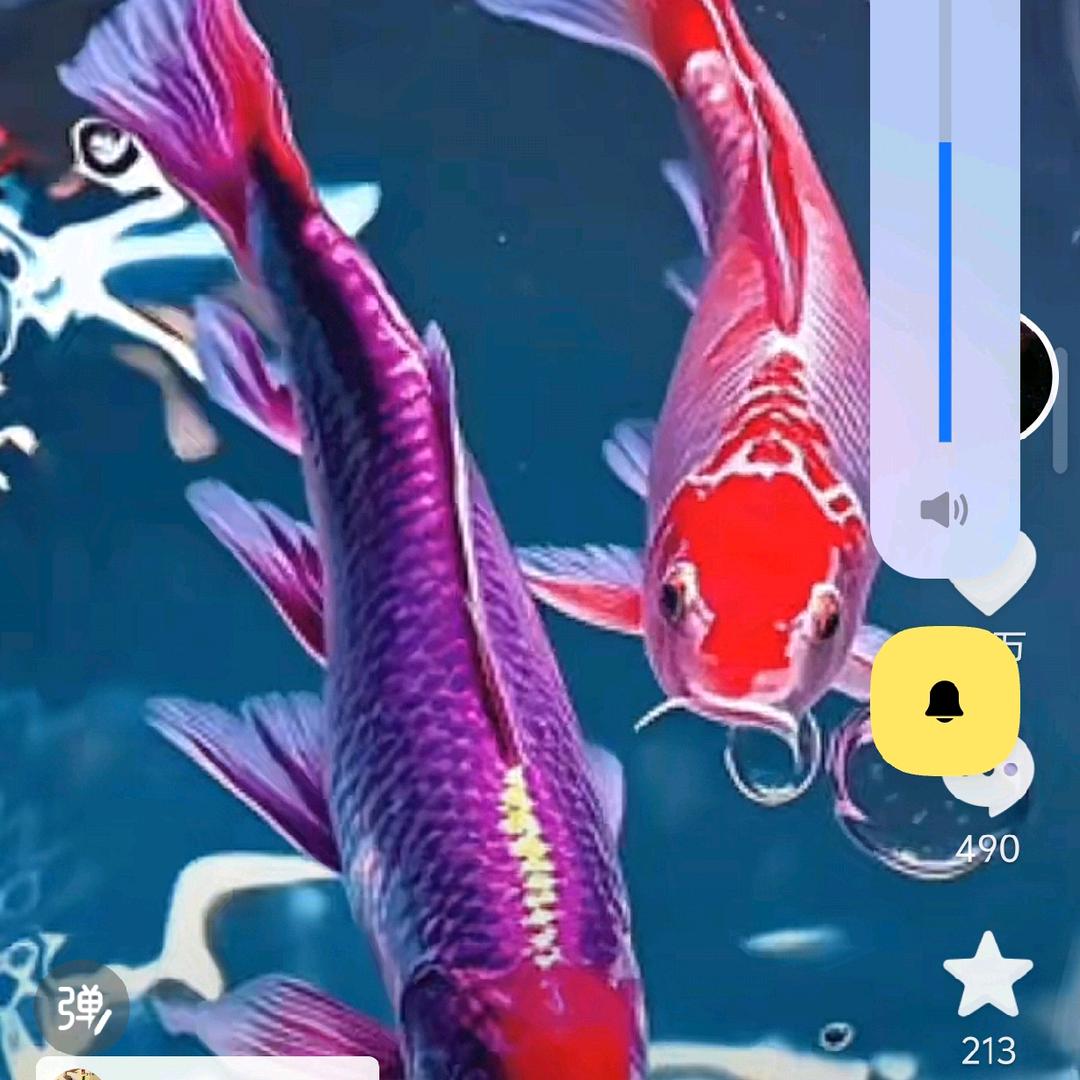 快递小哥