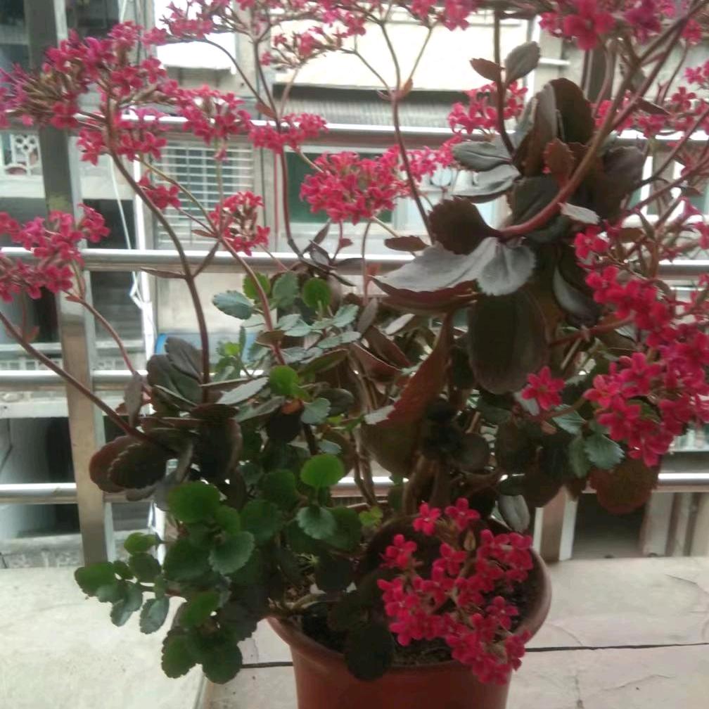 美子〈拒绝私聊）