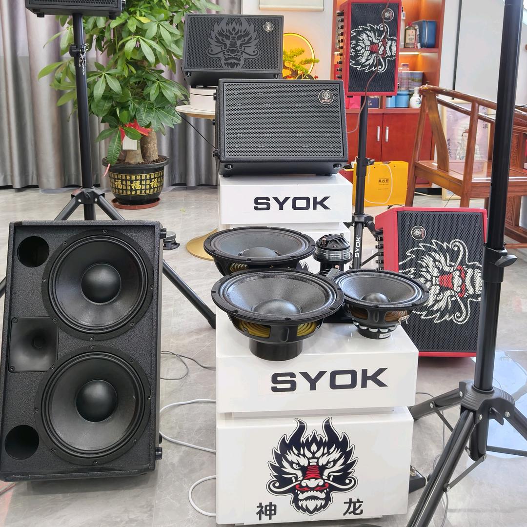 神龙音响工厂店