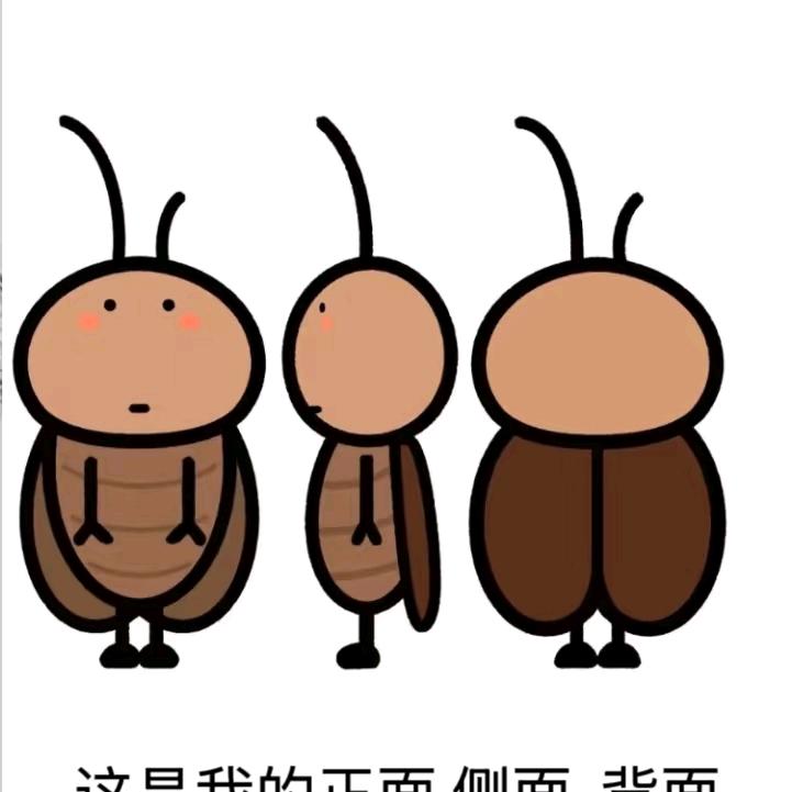 哈哈