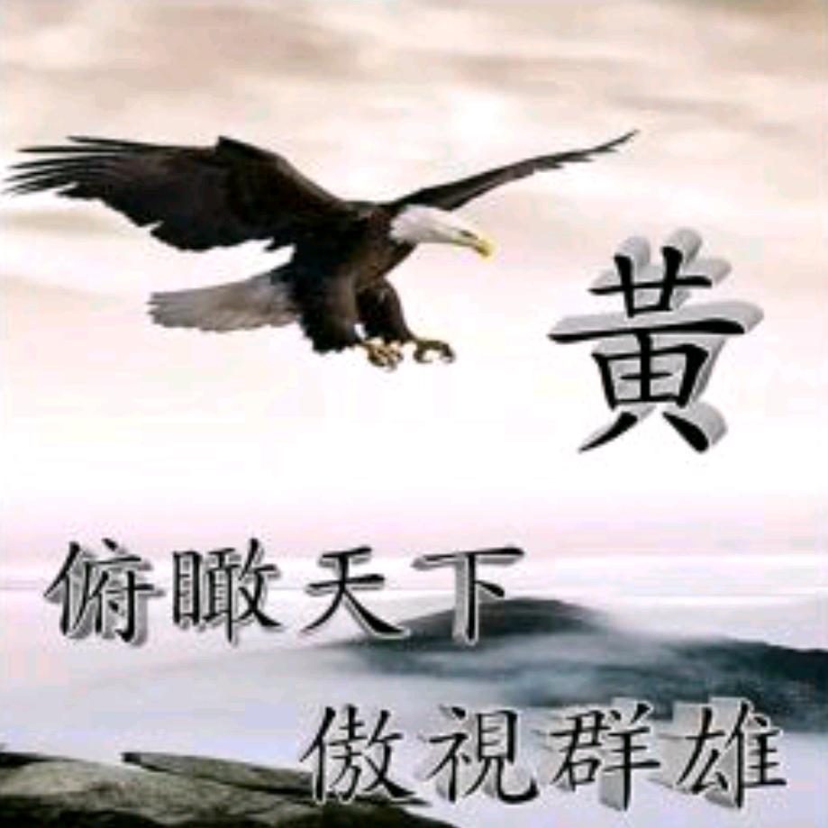 傲视群雄