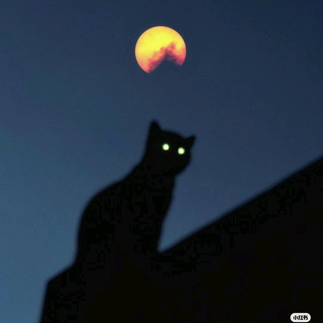 拾丶忆
