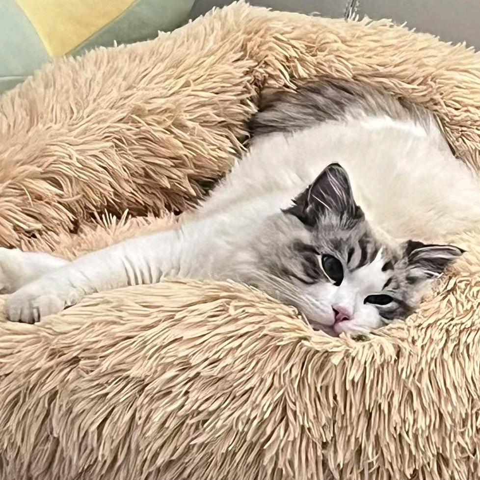 \^O^/